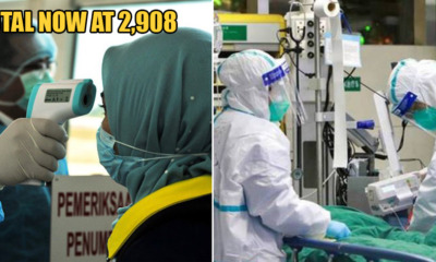 JUST IN: 142 More Patients in M'sia Test Positive For Covid-19, Total Now At 2,908 - WORLD OF BUZZ