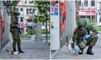 Photos: Cute Catto Accompanies Abang Askar During - WORLD OF BUZZ 5