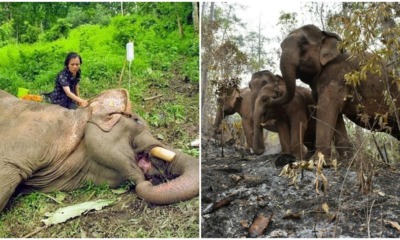 pjimage 2020 04 23T102053.375