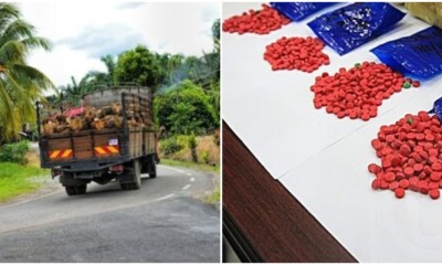 pjimage 2020 04 30T172455.103