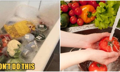 WHO: No Need To Disinfect Your Groceries, Washing With Soap Could Cause Poisoning - WORLD OF BUZZ 3