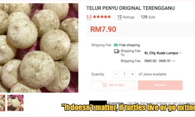 My Post 2020 05 14T154635.245