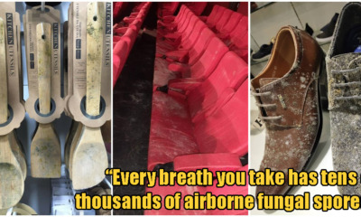 pjimage 2020 05 13T140452