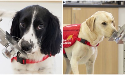 pjimage 2020 05 20T161445.785