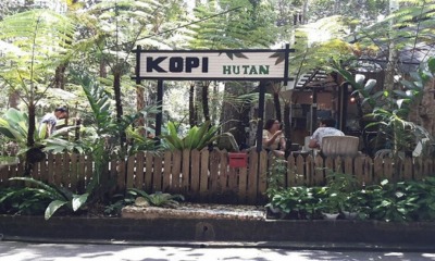 Kopi Hutan
