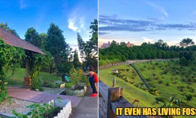 My Post 2020 06 16T140424.787