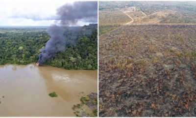 pjimage 2020 07 03T175806.002