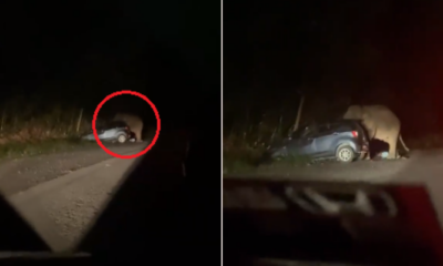 My Post 2020 08 03T150806.419