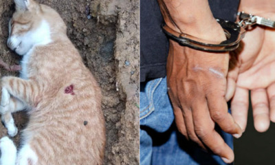 My Post 2020 08 21T172052.790