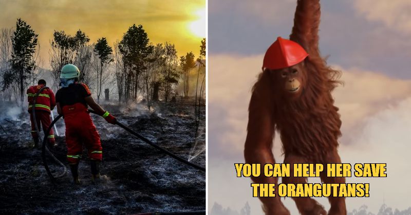 goodday miss nana featured 5