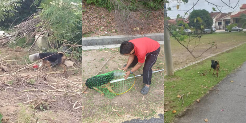 My Post 2020 10 14T145332.307