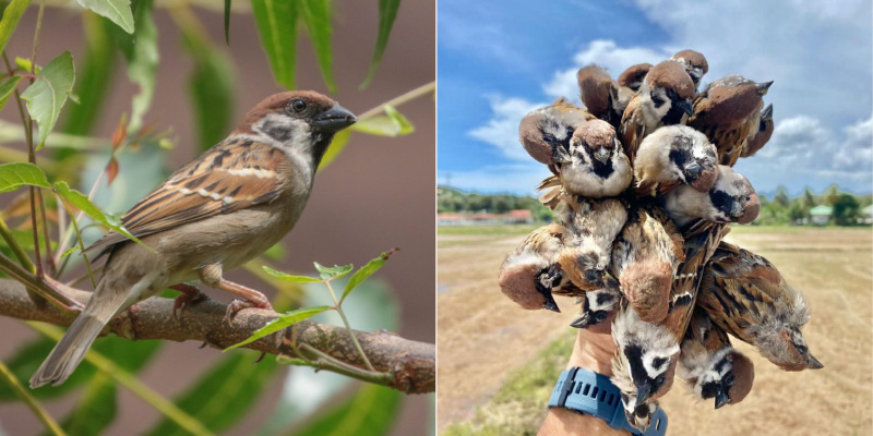 My Post 2020 10 20T111502.395