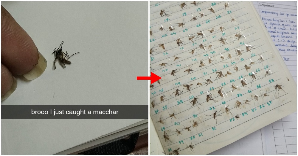 pjimage 2020 10 16T125721.352 1