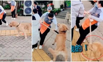 pjimage 2020 10 27T134427.209