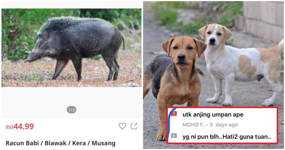 pjimage 2020 10 27T171415