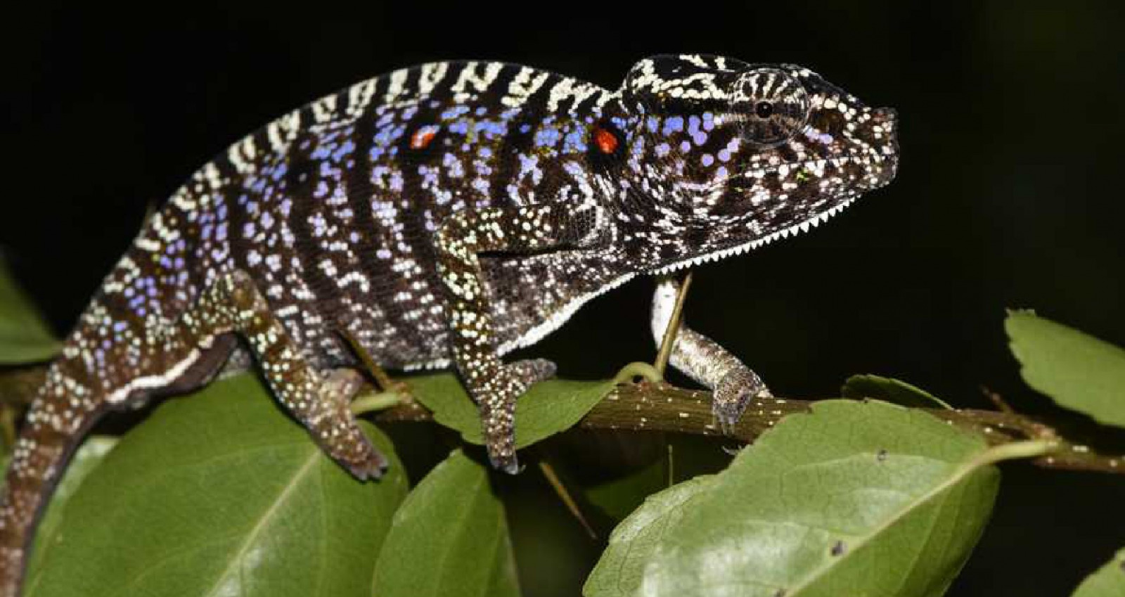 E567C880 A5C0 4939 87B8 AFBDA284F37E