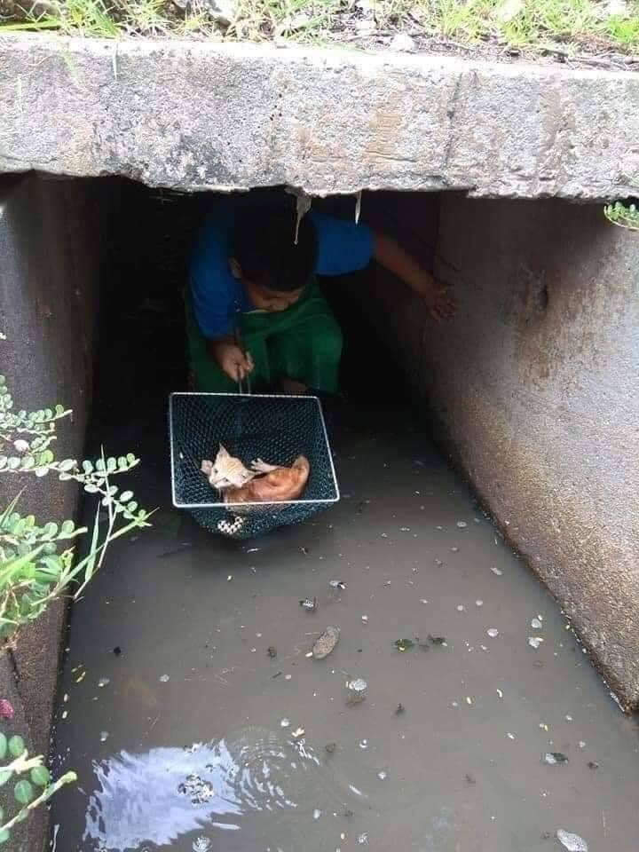 Drain 2