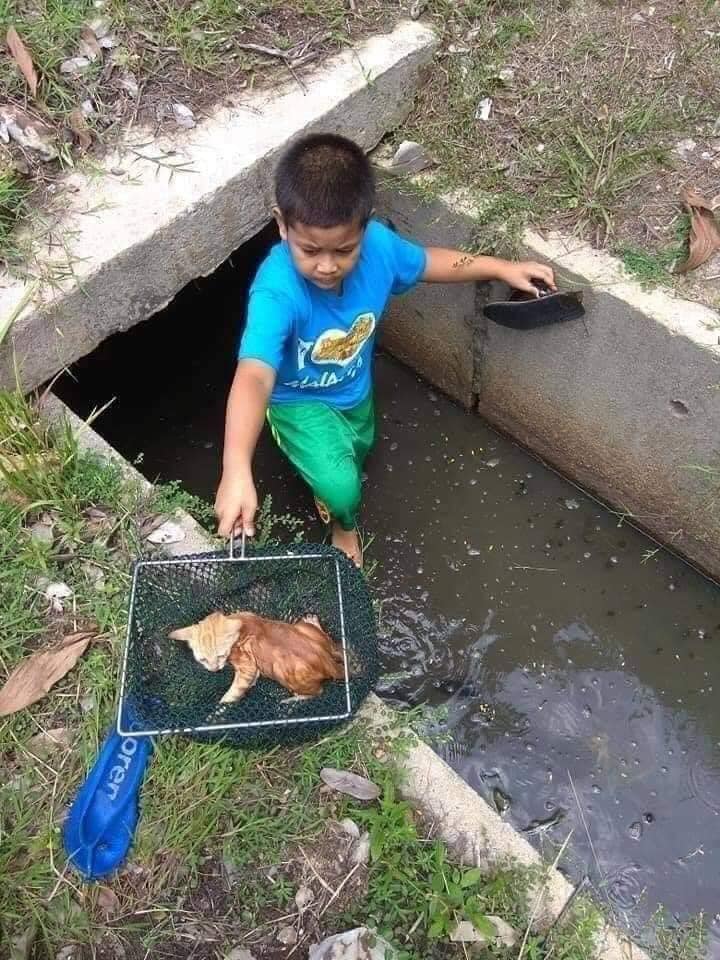 Drain 4