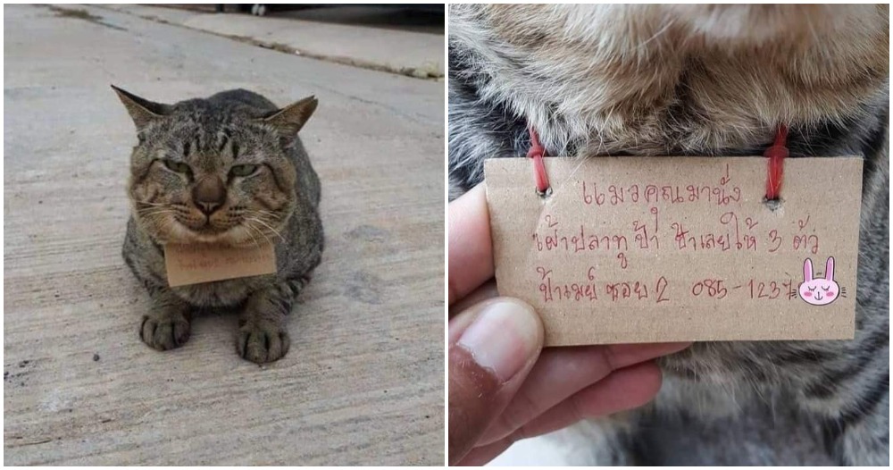 pjimage 2020 11 02T122430.308