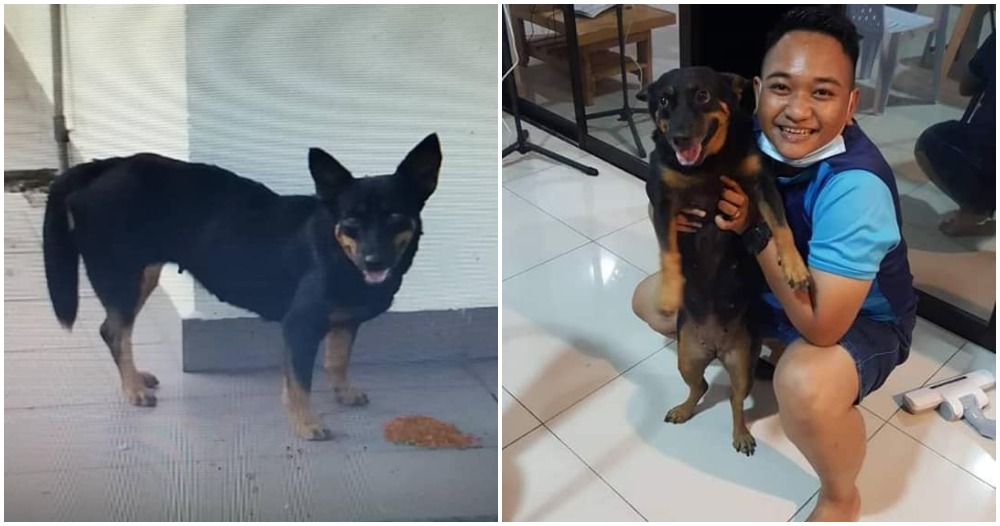 pjimage 2020 11 10T184804.144