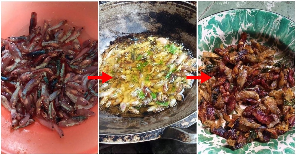 pjimage 2020 11 17T173245.203 1