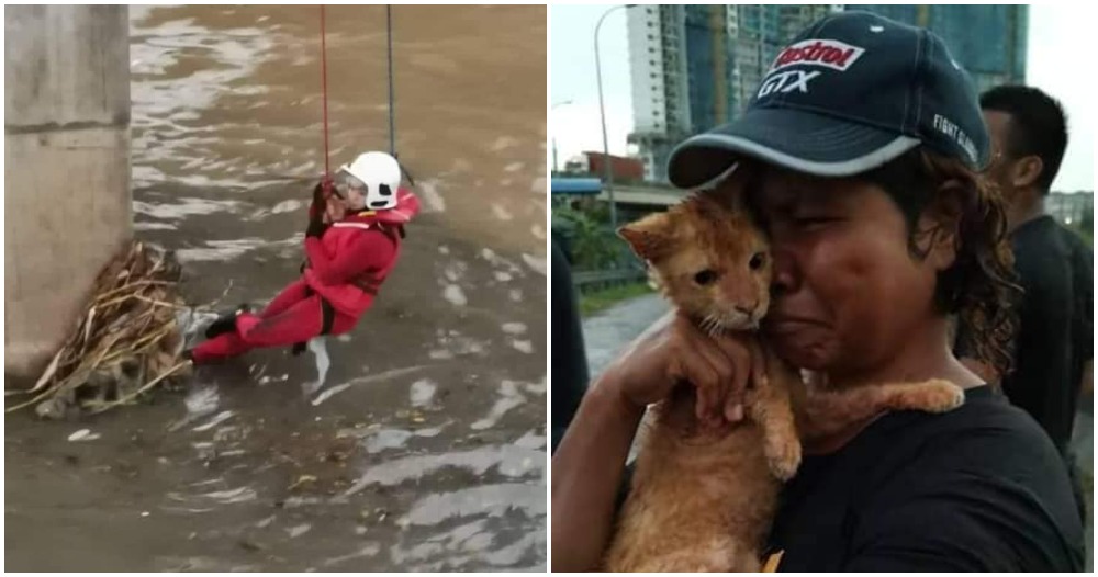 pjimage 2020 11 17T220549.089