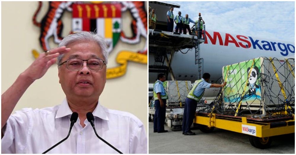 pjimage 2020 11 25T170125.874