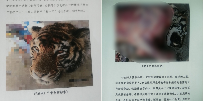 My Post 2020 12 23T102935.073