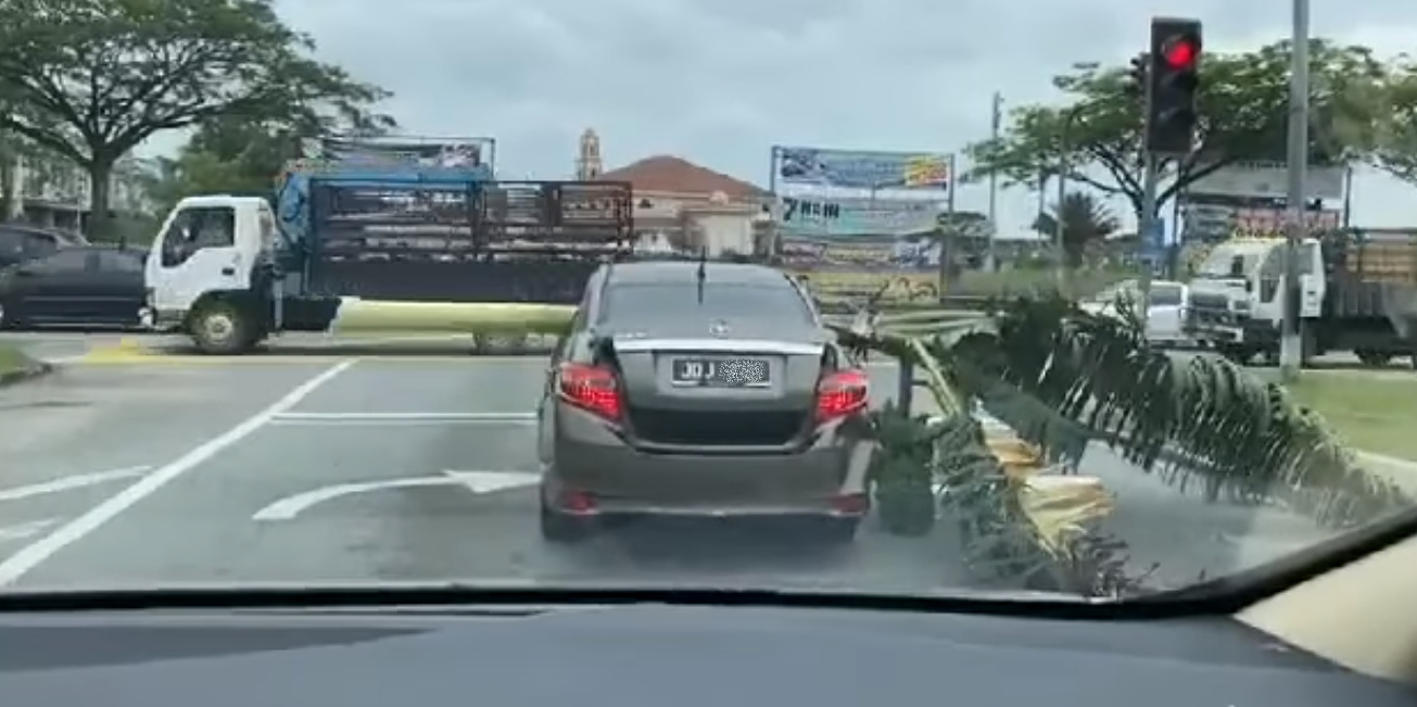 banana tree car censor