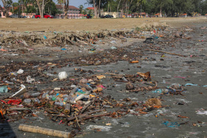 M2