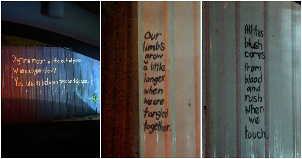 pjimage 2020 12 14T232942.982