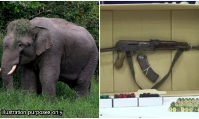 pjimage 2020 12 15T180059