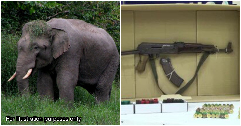 pjimage 2020 12 15T180059