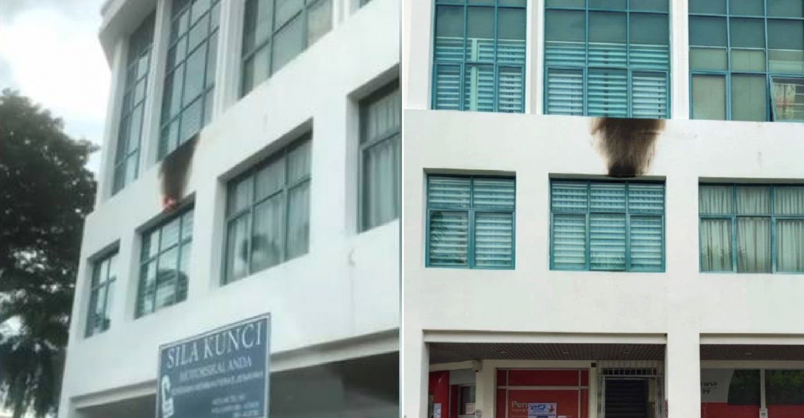 3E458C61 0C9B 427F 899E 71DA91FA087F