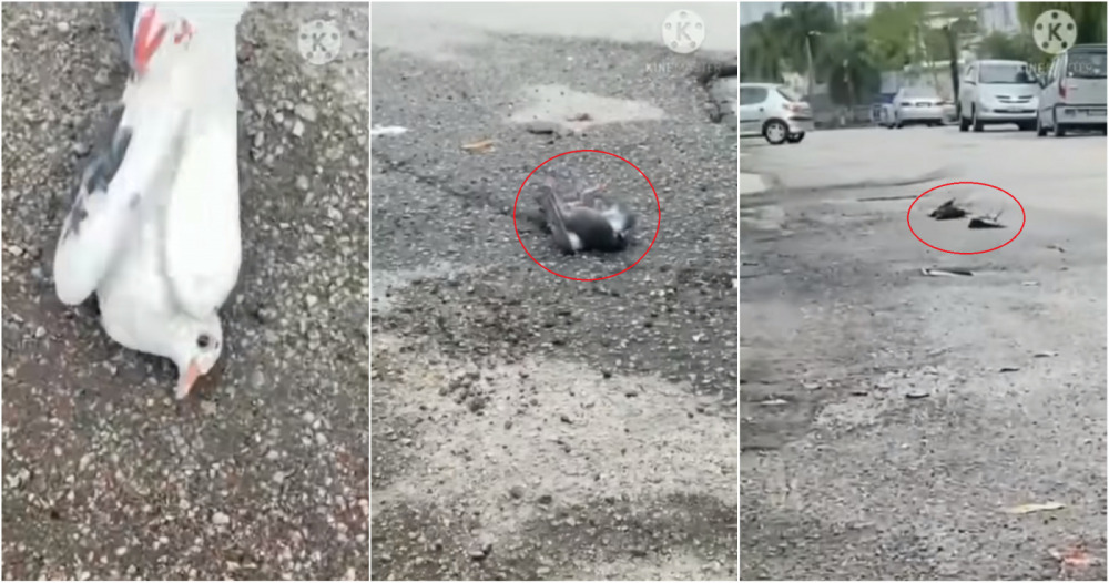 My Post 2021 01 08T113234.469 e1610079451626