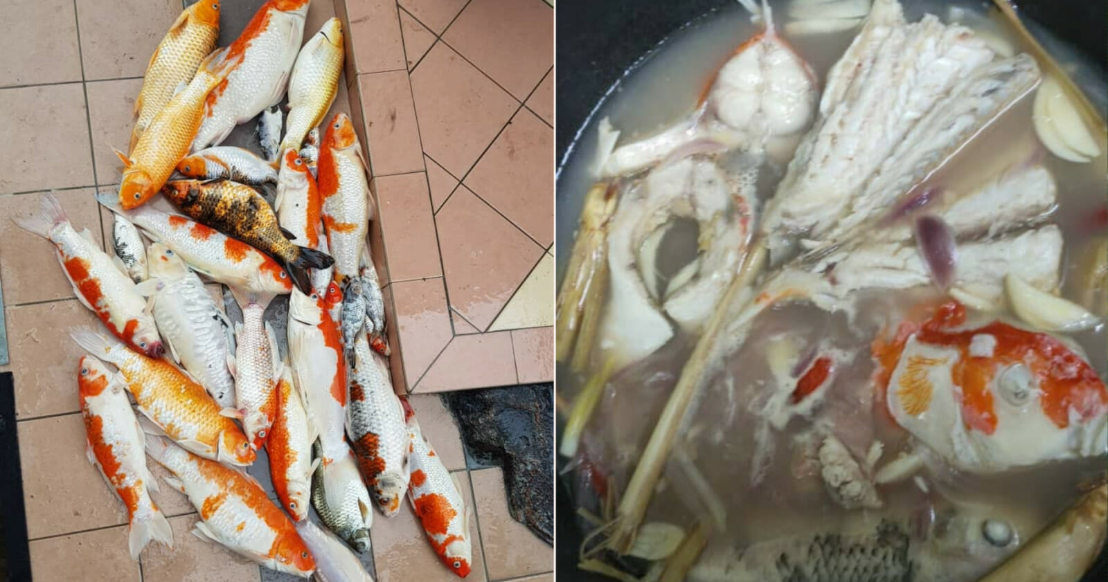 My Post 2021 01 19T143528.515