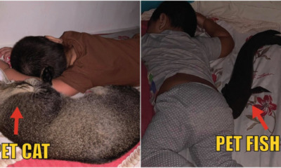 WhatsApp Image 2021 01 27 at 4.56.59 PM e1611739345668