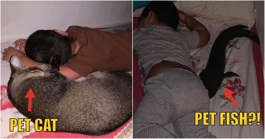 WhatsApp Image 2021 01 27 at 4.56.59 PM e1611739345668