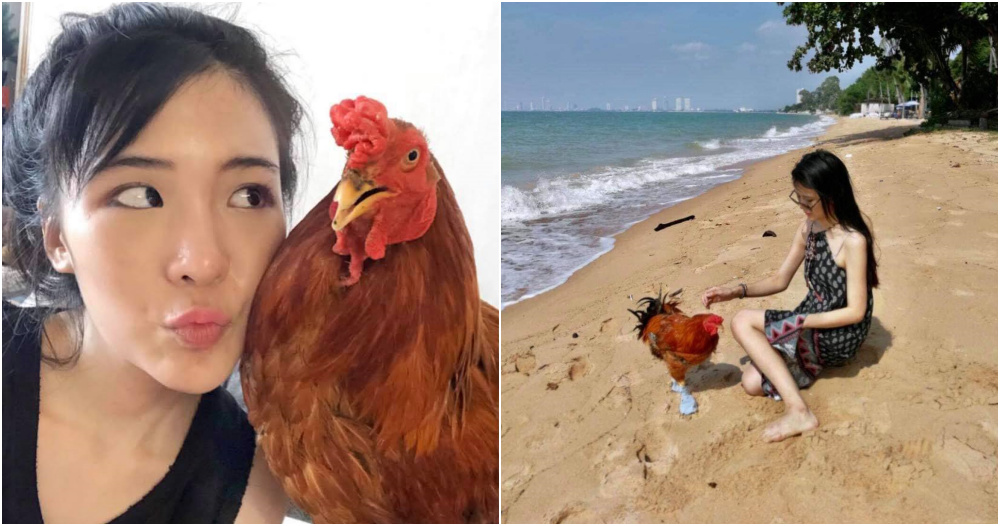 ft image chicken