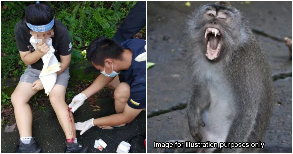 pjimage 2021 01 04T144140