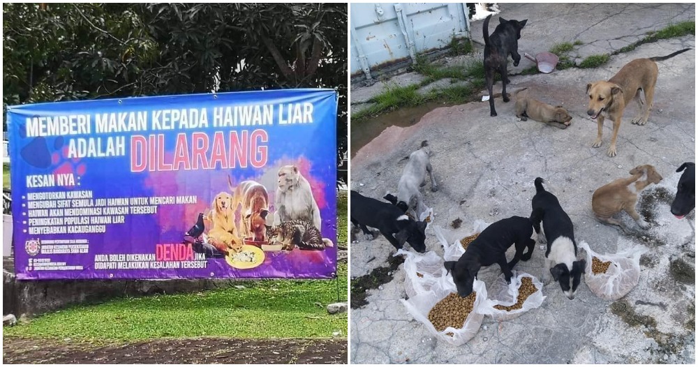 pjimage 2021 01 20T110028.691