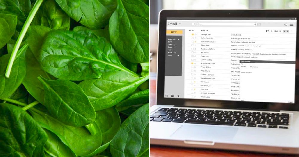 13619A66 4ACF 41A8 8CC3 D2B06EDA9597