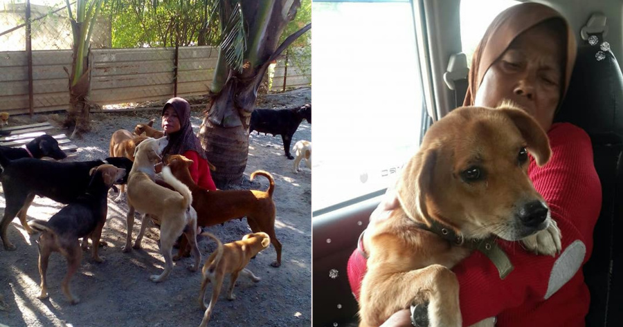 My Post 2021 02 01T151508.687