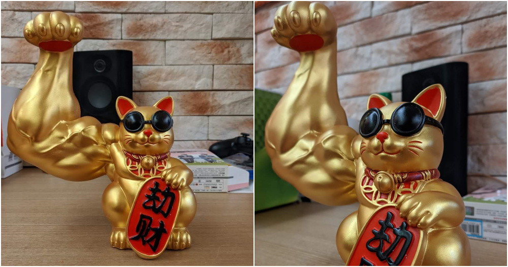 fortune cat ft