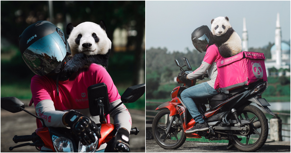 panda ft