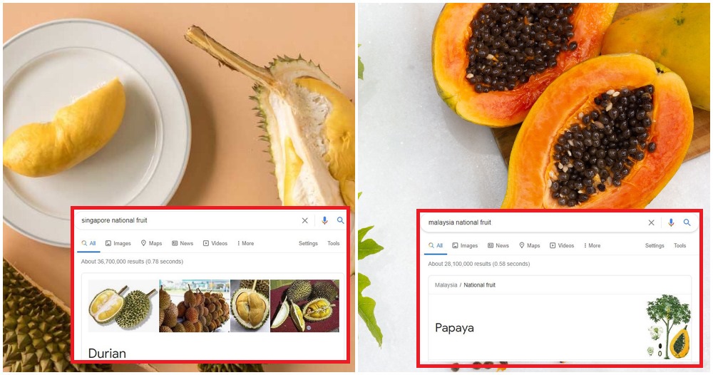 pjimage 2021 02 12T131838