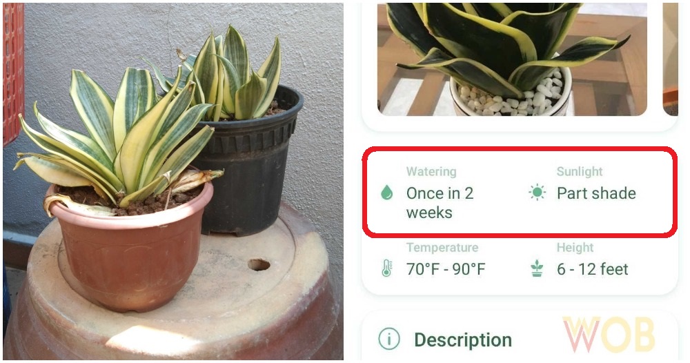 pjimage 2021 02 18T174024.860