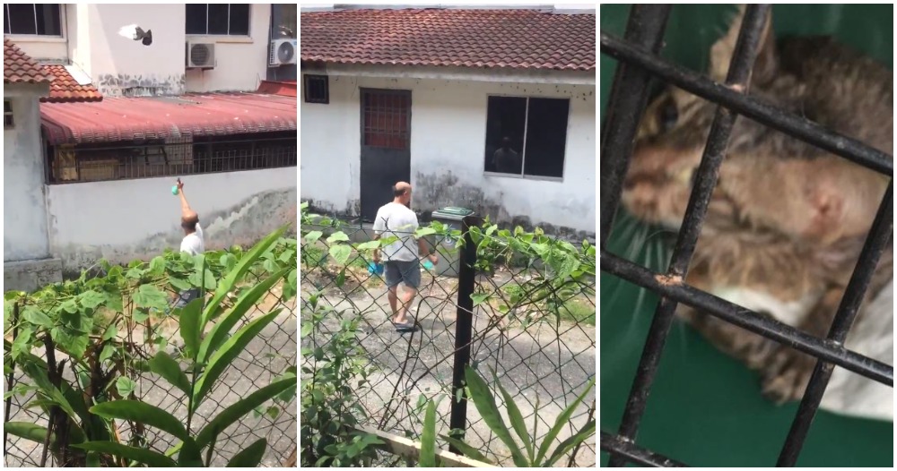 pjimage 2021 02 26T120905.479