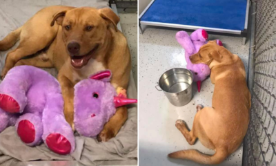 177CDC30 43DB 4357 B4B8 0640FB78CFEE