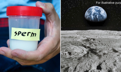 18D09C11 DAF4 42B1 84AD D55D92561E42